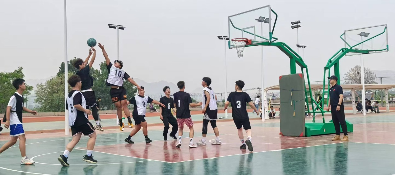 图片4