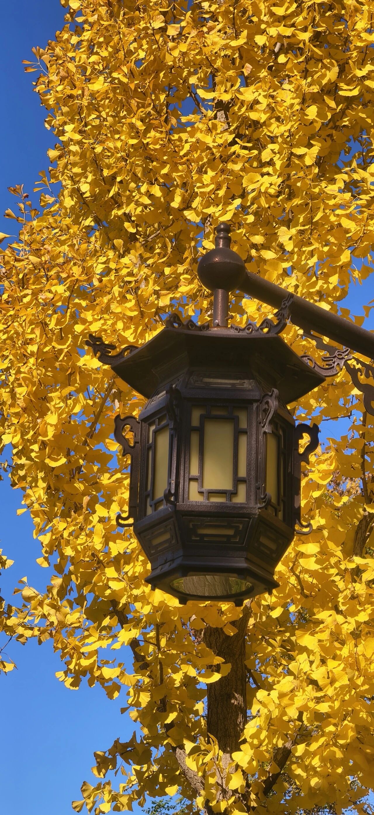 微信图片_2025-11-19_155518_237